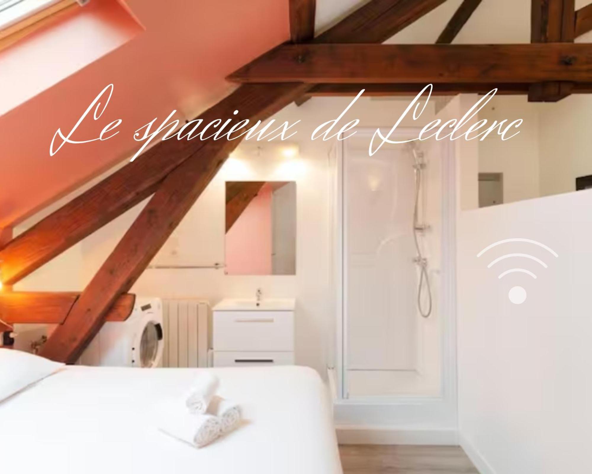 Residence Leclerc - Appartements D'Hotes - Secteur Thermal Nancy Rom bilde