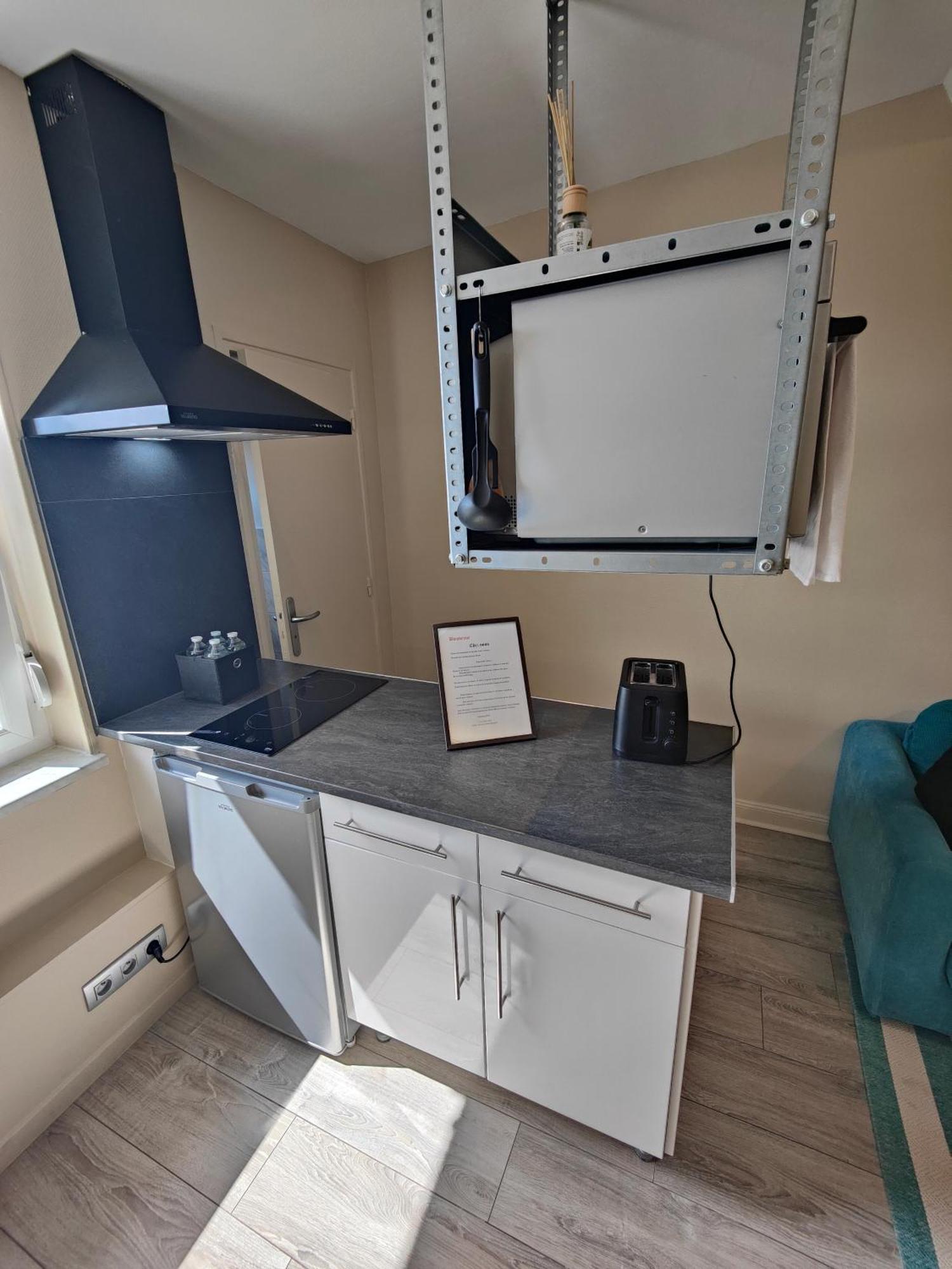 Residence Leclerc - Appartements D'Hotes - Secteur Thermal Nancy Eksteriør bilde